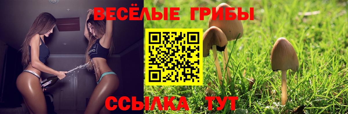 Псилоцибиновые грибы ЛСД Сыктывкар